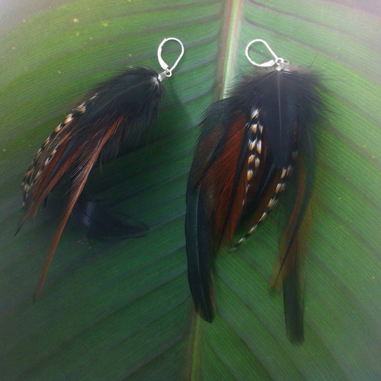 Feather Feather Earrings | Tribal Earrings :|: Black Tiger. | Feather Earrings