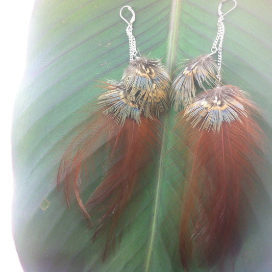 Natural Feather Earrings | Tribal Earrings :|: Dream. | Feather Earrings