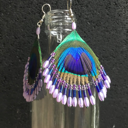 Lavender Peacock Earrings | Peacock feather earrings.