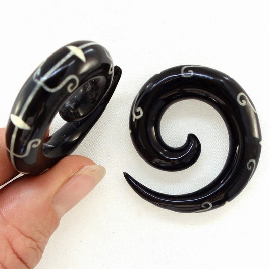 Unisex Gage Earrings | 00 Gauge Earrings :|: Scepter of Siva Spiral. Horn with bone inlay 00g, Organic Body Jewelry. | Gauges