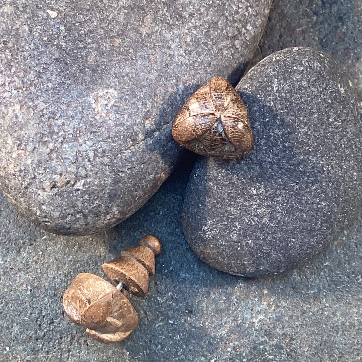 Tribal stud earrings, Magnolia wood