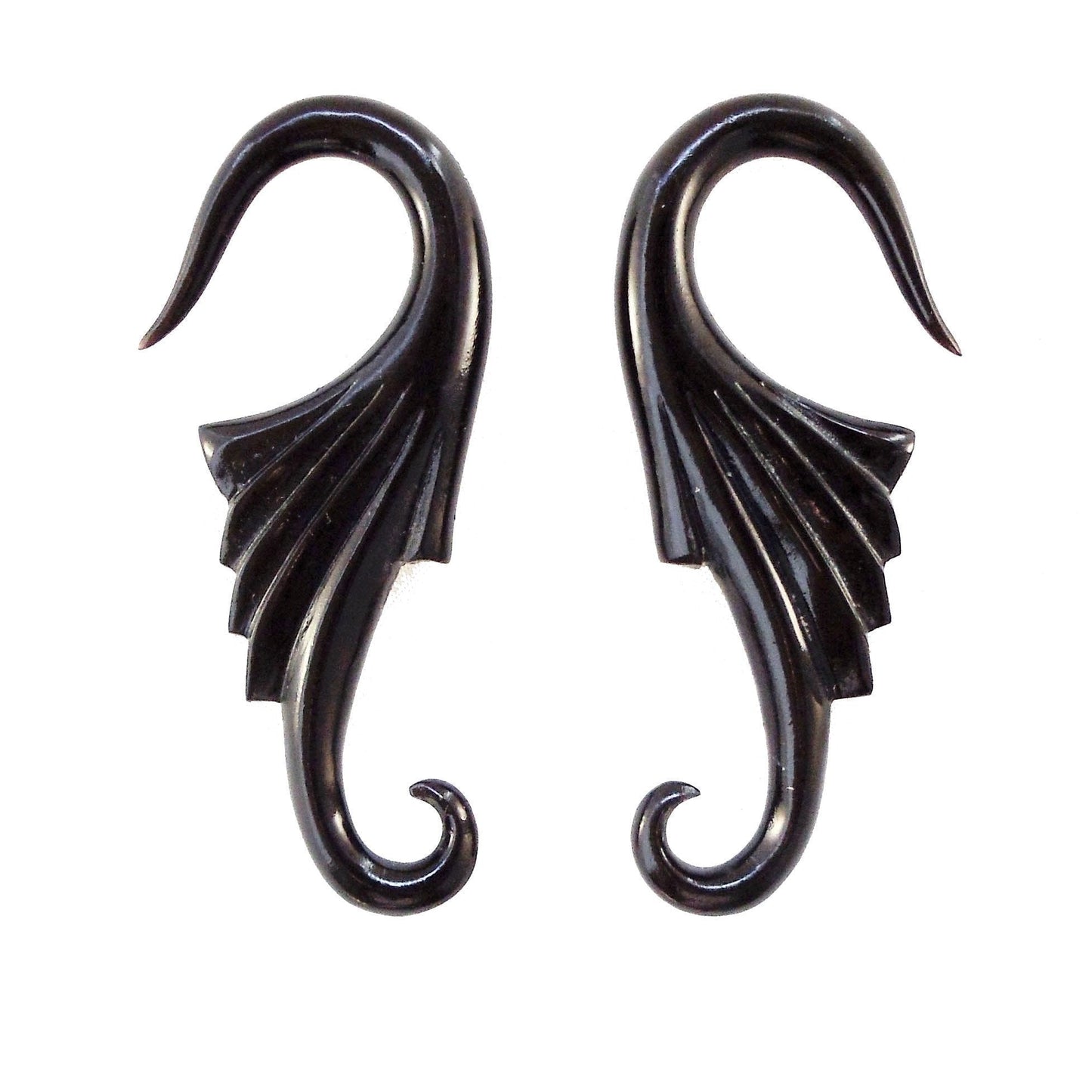 Nouveau Wings. Horn 6g, Organic Body Jewelry.