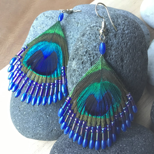 Shiny Peacock Earrings | blue peacock feather earrings.