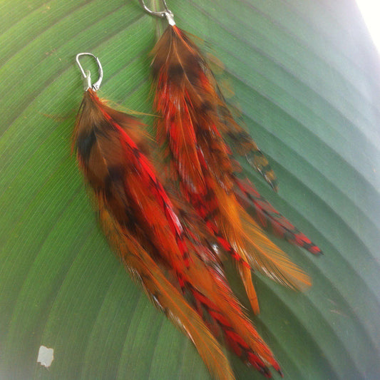 Feather earrings Hawaiian Island Jewelry | Natural Jewelry :|: Dragons Breath, Feather Earrings, 5-6 inch Long.