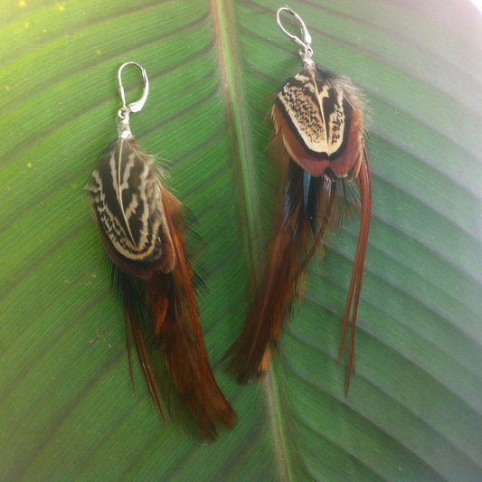 Earrings Feather Earrings | Natural Jewelry :|: Woodland Earth, Feather Earrings, 4"-5 inch Long. | Feather Earrings