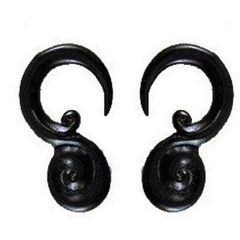 Body Jewelry :|: Hooks. Horn 2g gauge earrings.