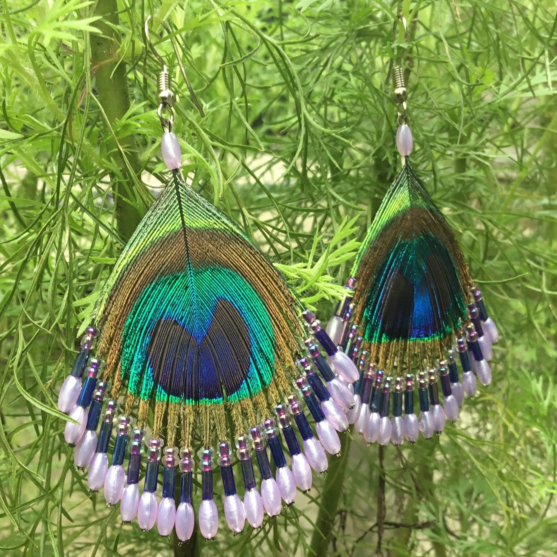 peacock feather dangle earrings.